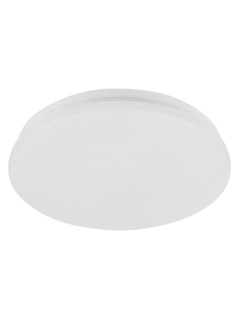 Светильник LED потолочный ДПБ 01, 18 Вт, 4000 К, Классика, терм. упак., TDM SQ0329-9027