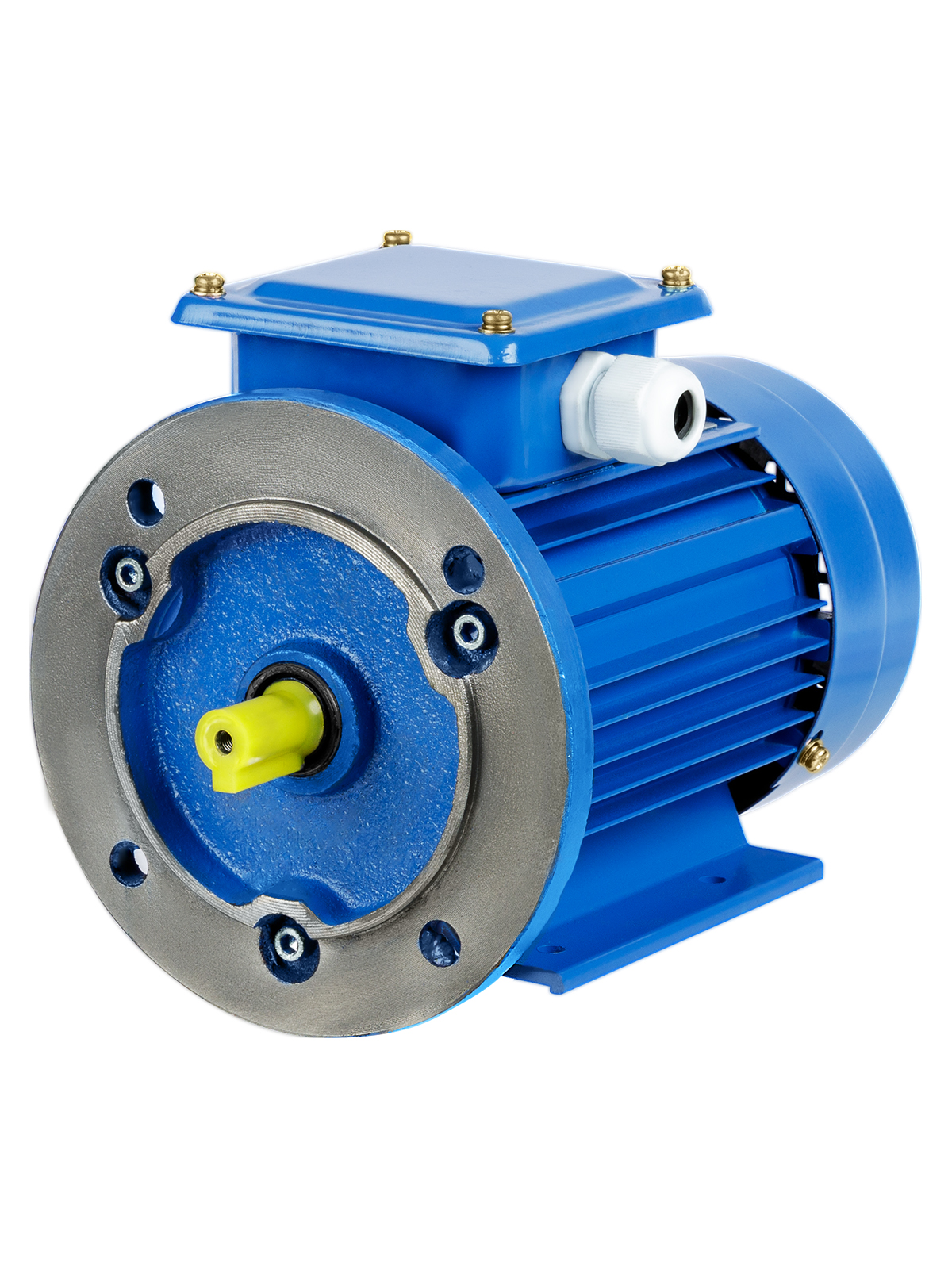 Двигатель АИР 160M4 18,5 кВт 1500 об/мин 2081 TDM SQ3001-0077