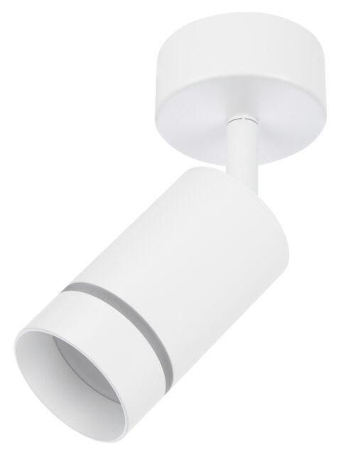 Светильник-спот поворотный LED, 7 Вт, 230 В, 50 Гц, 4000К, IP20, Вероника, белый, TDM SQ0356-0420